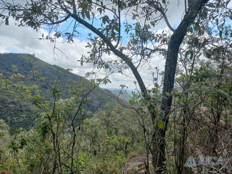 Terreno Residencial à venda em Vale das Videiras, Petrópolis - RJ - Foto 8