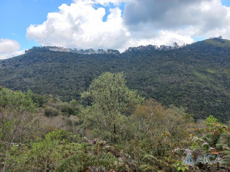 Terreno Residencial à venda em Vale das Videiras, Petrópolis - RJ - Foto 6