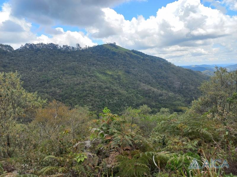 Terreno Residencial à venda em Vale das Videiras, Petrópolis - RJ - Foto 4