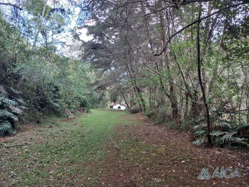 Terreno Residencial à venda em Vale das Videiras, Petrópolis - RJ - Foto 18