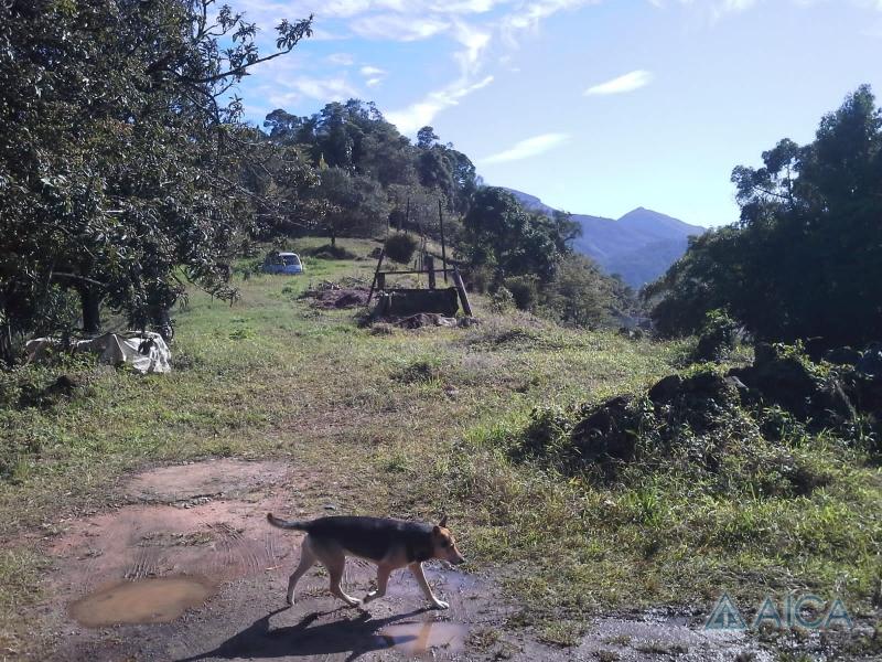 Terreno Comercial à venda em Valparaíso, Petrópolis - RJ - Foto 9