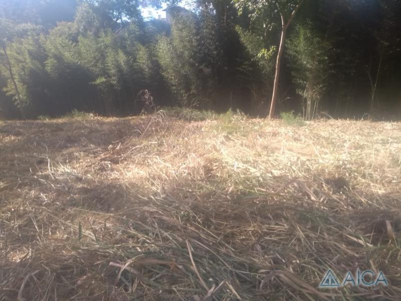 Terreno Residencial à venda em Itaipava, Petrópolis - RJ - Foto 6