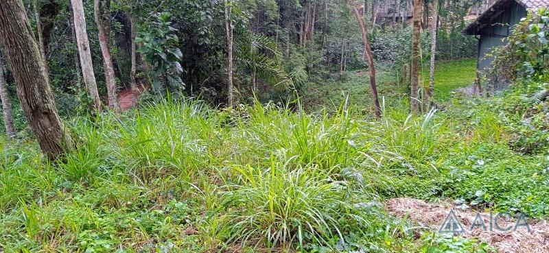 Terreno Comercial à venda em Araras, Petrópolis - RJ - Foto 1