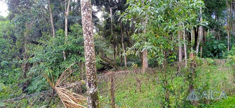 Terreno Comercial à venda em Araras, Petrópolis - RJ - Foto 2