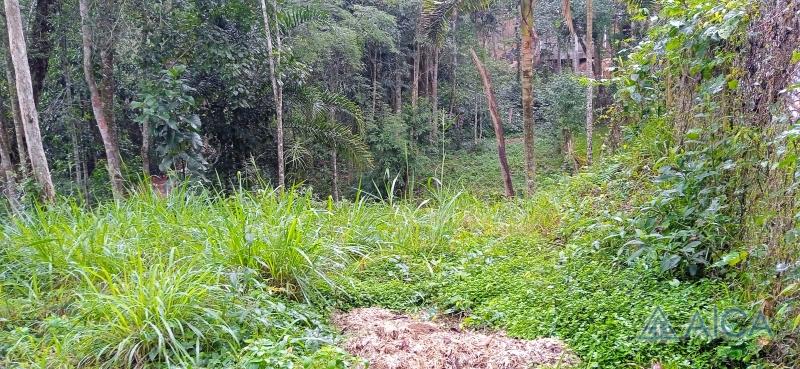 Terreno Comercial à venda em Araras, Petrópolis - RJ - Foto 3