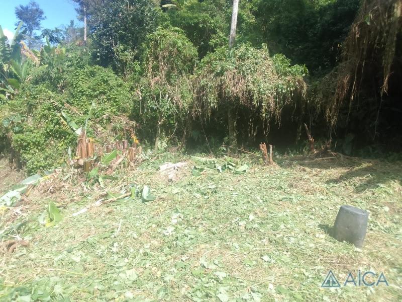 Terreno Residencial à venda em Quitandinha, Petrópolis - RJ - Foto 3
