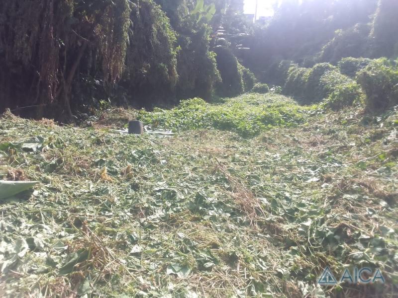 Terreno Residencial à venda em Quitandinha, Petrópolis - RJ - Foto 4