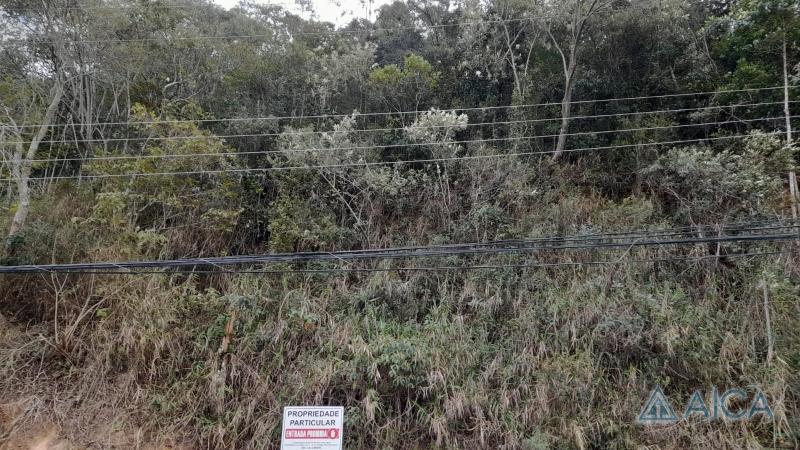 Terreno Residencial à venda em Corrêas, Petrópolis - RJ - Foto 2