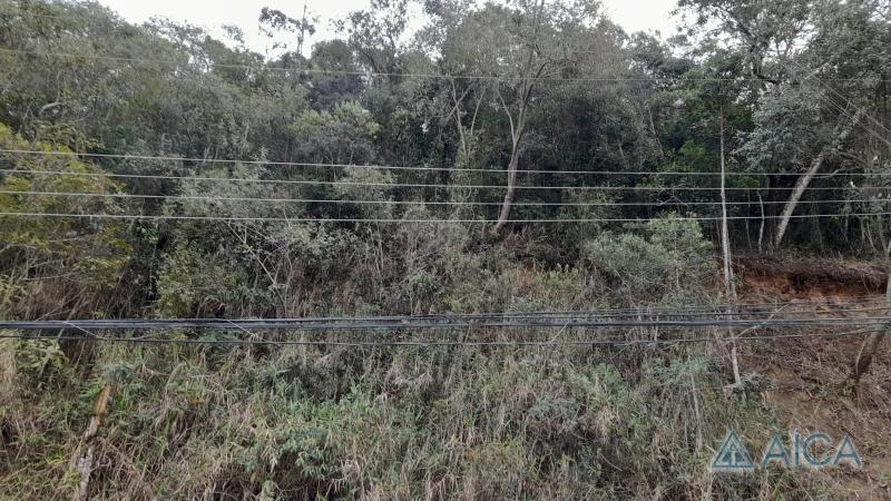 Terreno Residencial à venda em Corrêas, Petrópolis - RJ - Foto 4