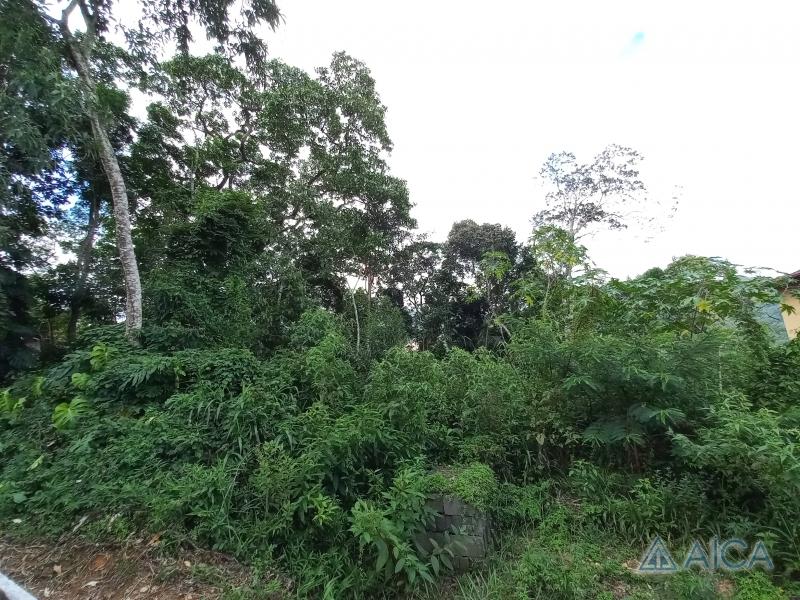 Terreno Residencial à venda em Mosela, Petrópolis - RJ - Foto 15