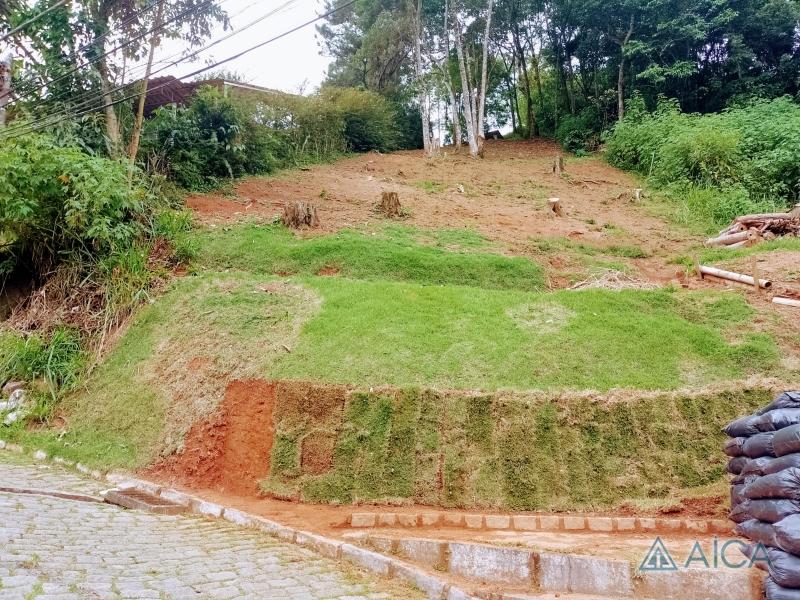 Terreno Residencial à venda em Bingen, Petrópolis - RJ - Foto 4