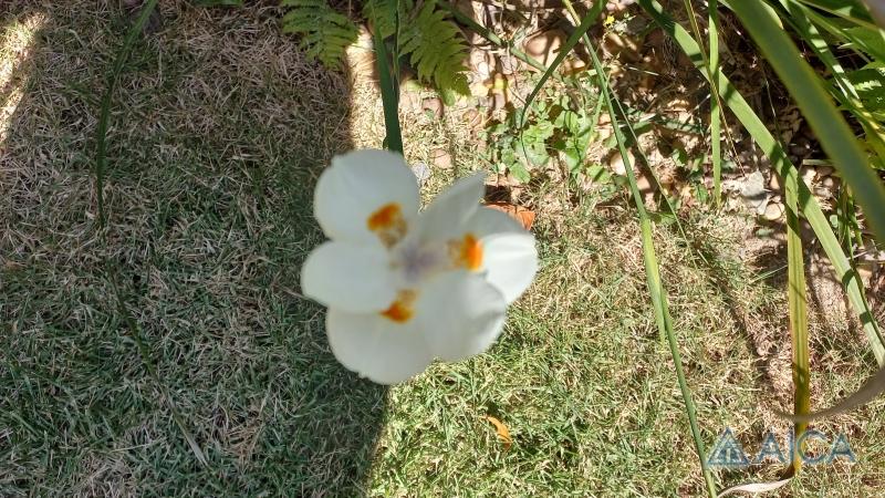 Casa à venda em Mosela, Petrópolis - RJ - Foto 22