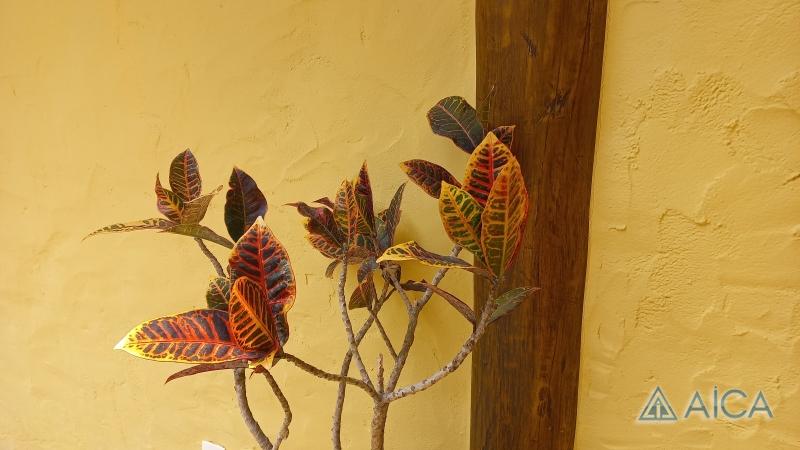 Casa à venda em Araras, Petrópolis - RJ - Foto 18