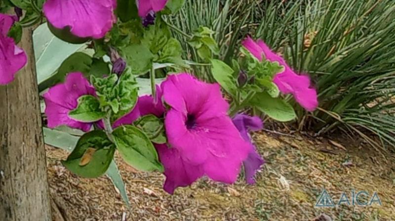 Casa à venda em Araras, Petrópolis - RJ - Foto 22