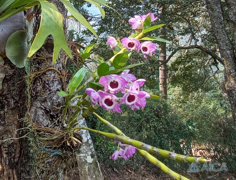 Casa à venda em Araras, Petrópolis - RJ - Foto 23