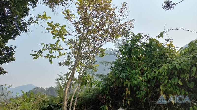 Casa à venda em Araras, Petrópolis - RJ - Foto 31