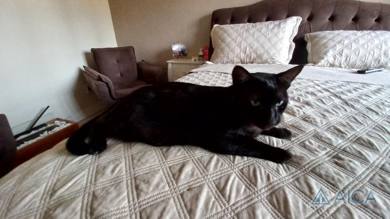 Casa à venda em Quitandinha - Mauá, Petrópolis - RJ - Foto 27