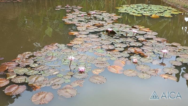 Casa à venda em Posse, Petrópolis - RJ - Foto 8