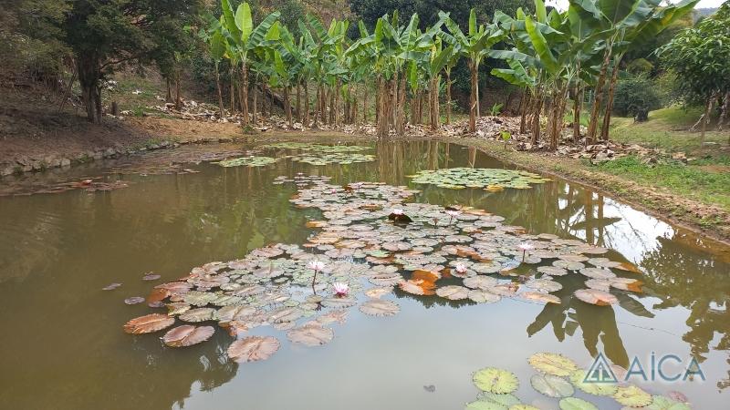 Casa à venda em Posse, Petrópolis - RJ - Foto 11
