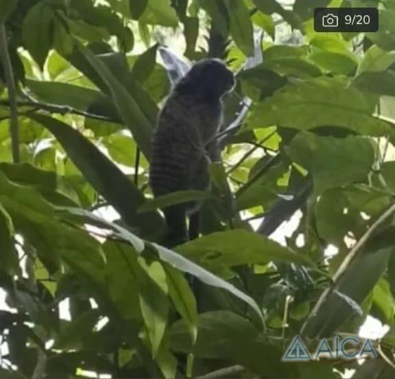 Apartamento à venda em Centro, Petrópolis - RJ - Foto 15