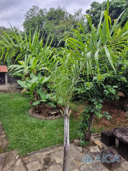Casa à venda em Vila Salutaris, Paraíba do Sul - RJ - Foto 3