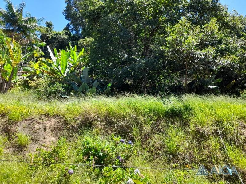 Casa à venda em Quitandinha, Petrópolis - RJ - Foto 3