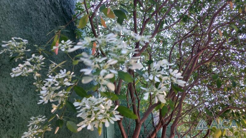 Casa à venda em Quissamã, Petrópolis - RJ - Foto 26