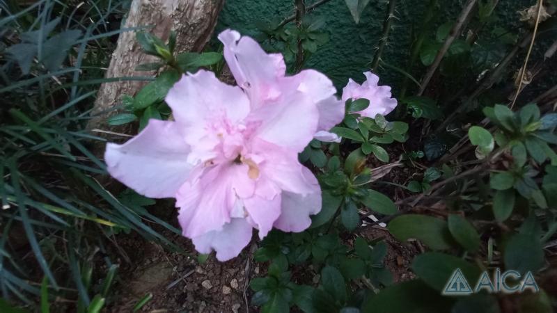 Casa à venda em Quissamã, Petrópolis - RJ - Foto 19