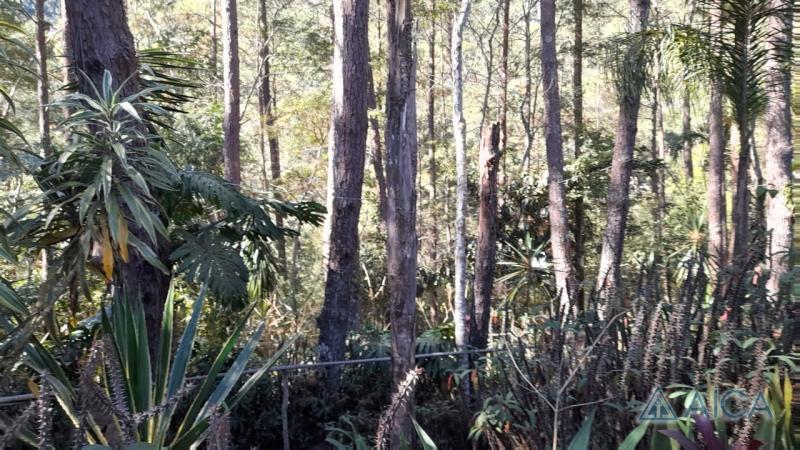 Casa à venda em Corrêas, Petrópolis - RJ - Foto 35