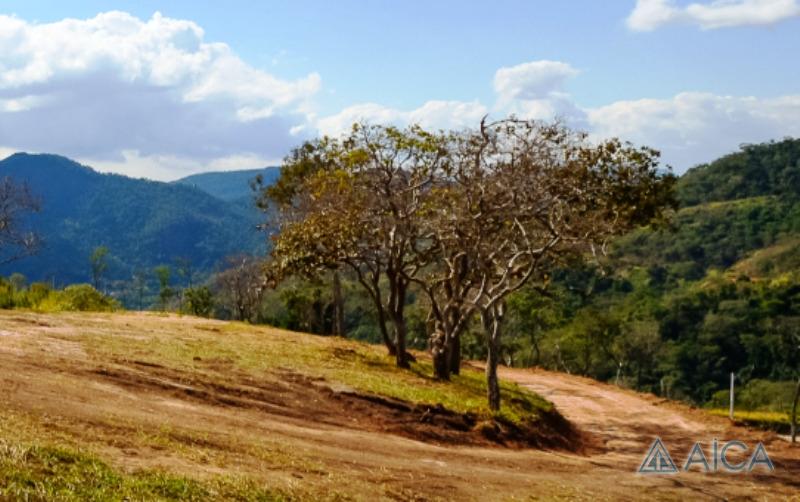 Terreno Residencial à venda em Pedro do Rio, Petrópolis - RJ - Foto 15