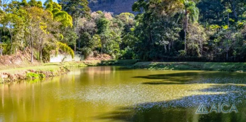 Terreno Residencial à venda em Pedro do Rio, Petrópolis - RJ - Foto 14
