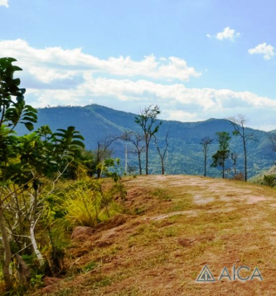 Terreno Residencial à venda em Pedro do Rio, Petrópolis - RJ - Foto 12