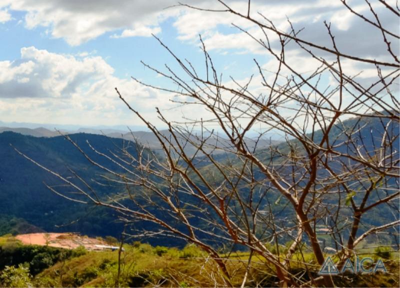 Terreno Residencial à venda em Pedro do Rio, Petrópolis - RJ - Foto 2