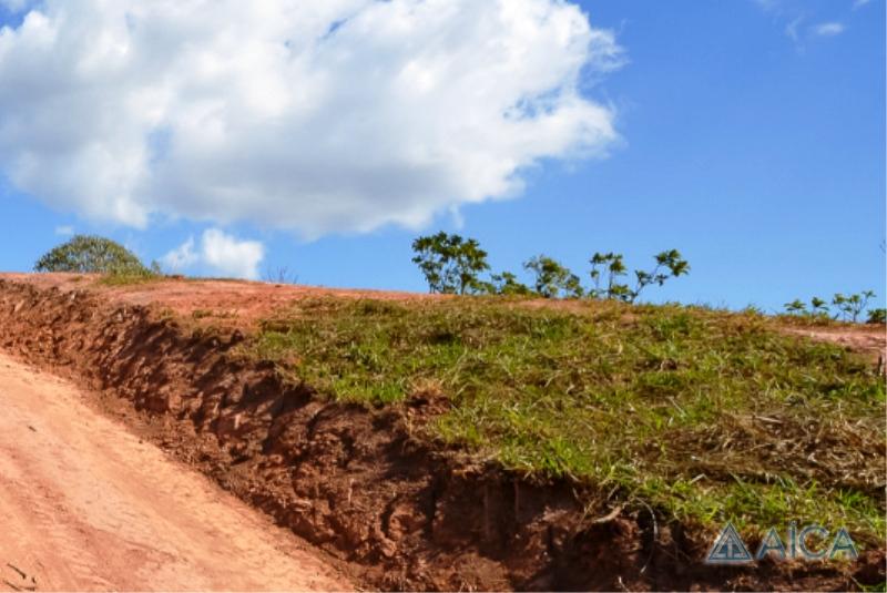 Terreno Residencial à venda em Pedro do Rio, Petrópolis - RJ - Foto 10