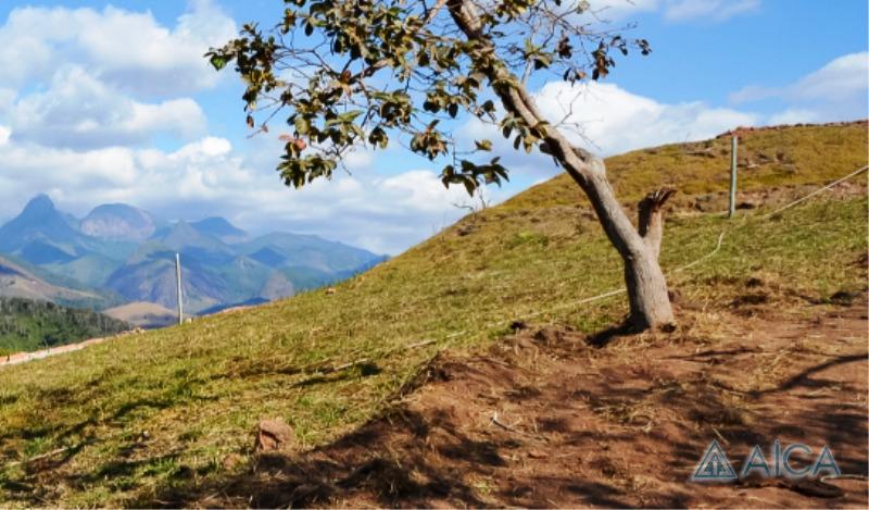 Terreno Residencial à venda em Pedro do Rio, Petrópolis - RJ - Foto 9