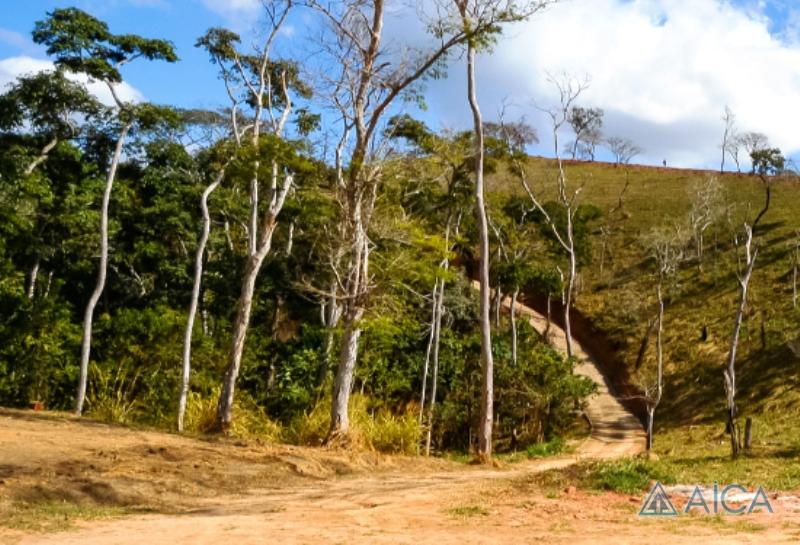 Terreno Residencial à venda em Pedro do Rio, Petrópolis - RJ - Foto 7