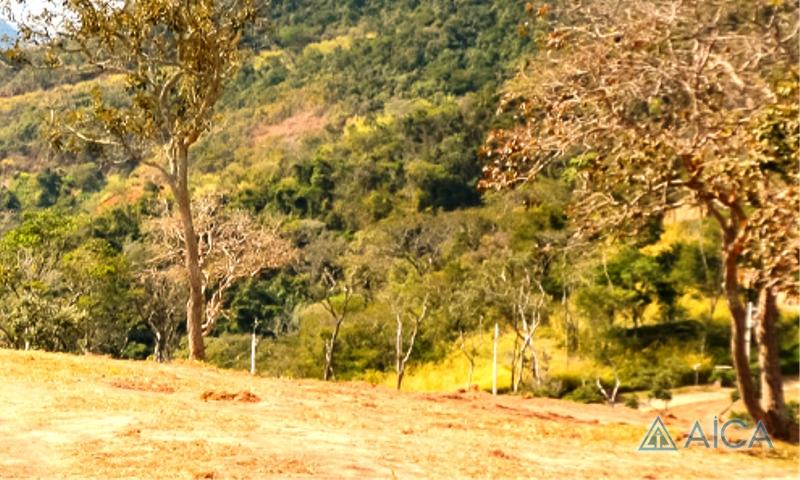 Terreno Residencial à venda em Pedro do Rio, Petrópolis - RJ - Foto 4