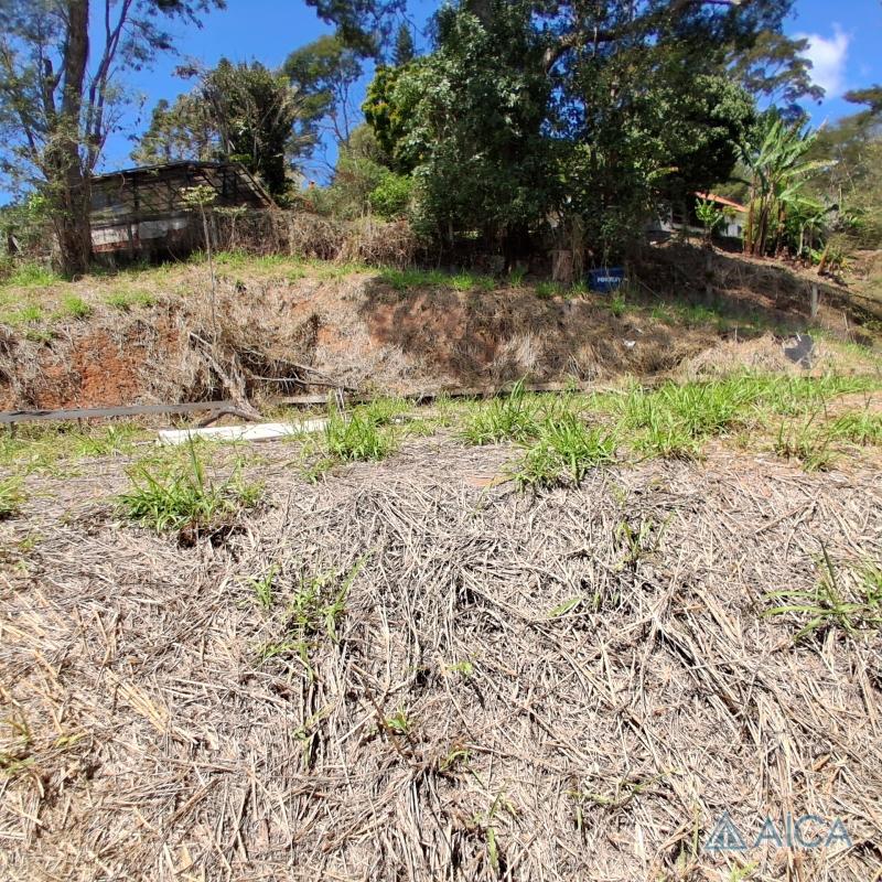 Terreno Residencial à venda em Itaipava, Petrópolis - RJ - Foto 7