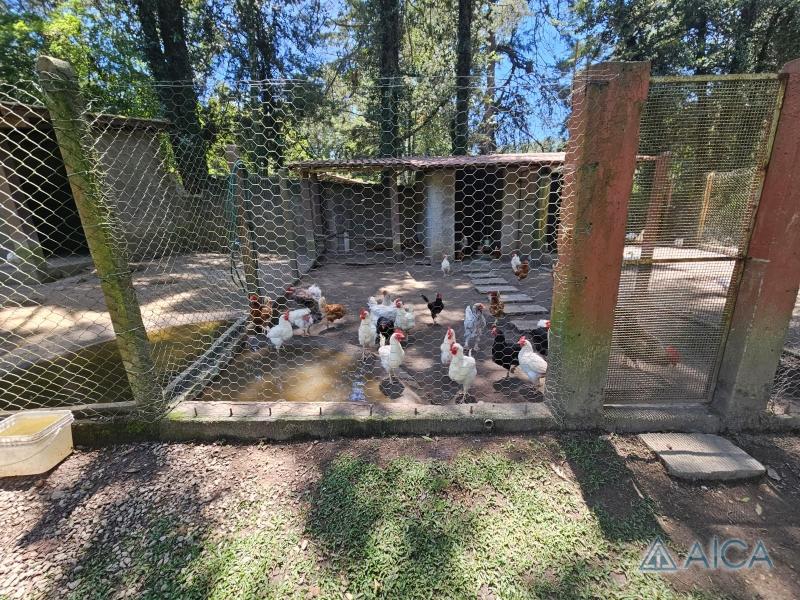 Casa à venda em Fazenda Inglesa, Petrópolis - RJ - Foto 32