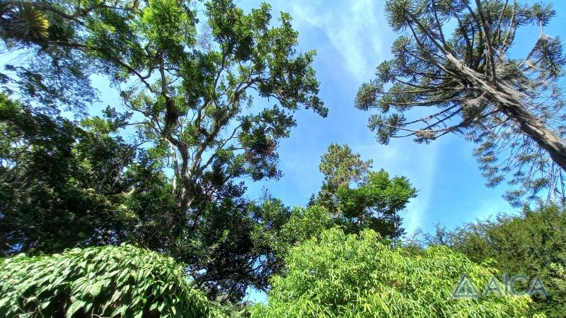 Casa à venda em Carangola, Petrópolis - RJ - Foto 16