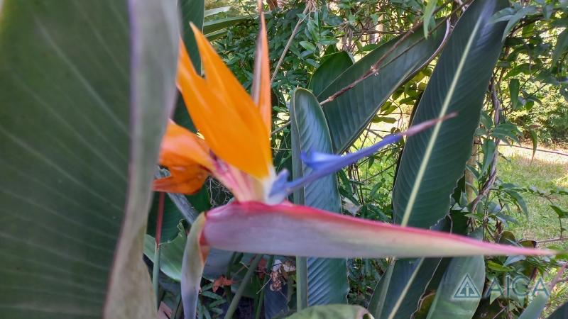 Casa à venda em Carangola, Petrópolis - RJ - Foto 27