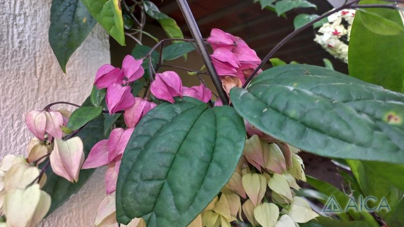 Casa à venda em Carangola, Petrópolis - RJ - Foto 29