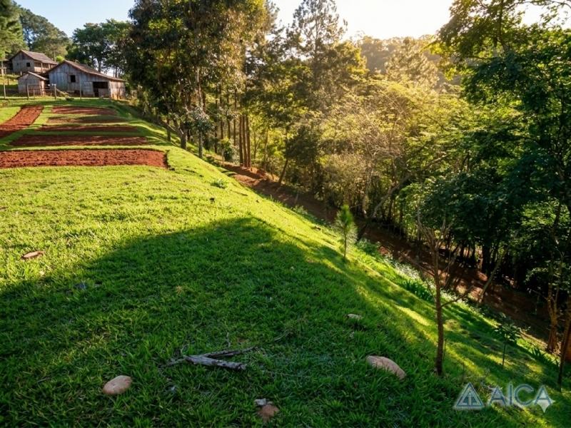 Terreno Residencial à venda em Itaipava, Petrópolis - RJ - Foto 4
