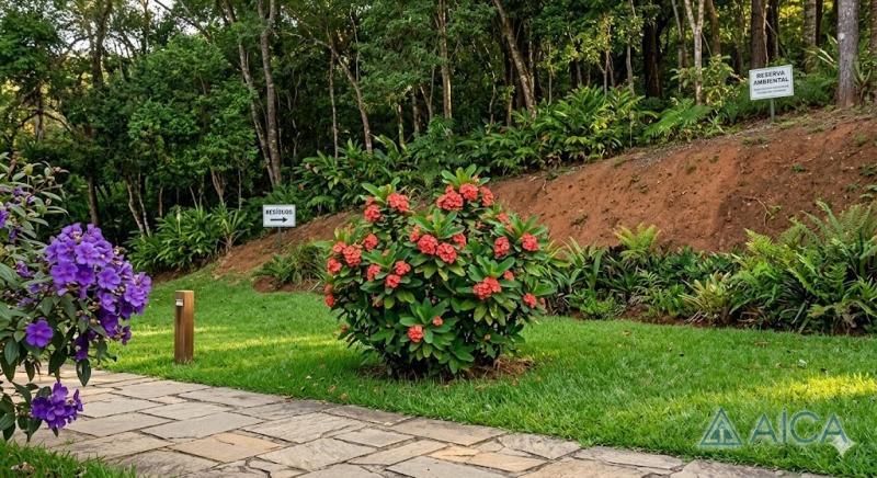 Terreno Residencial à venda em Itaipava, Petrópolis - RJ - Foto 7