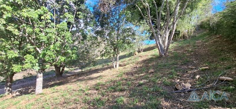 Terreno Residencial à venda em Vale das Videiras, Petrópolis - RJ - Foto 2