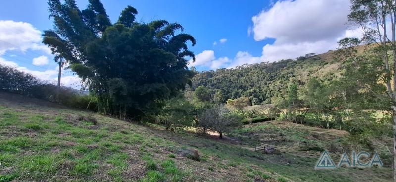 Terreno Residencial à venda em Vale das Videiras, Petrópolis - RJ - Foto 4
