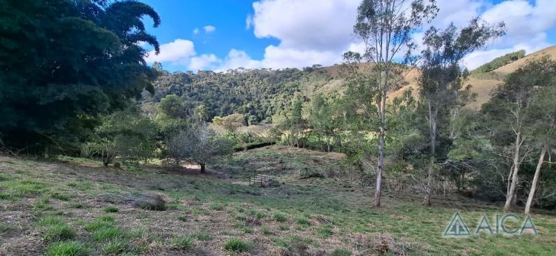 Terreno Residencial à venda em Vale das Videiras, Petrópolis - RJ - Foto 5