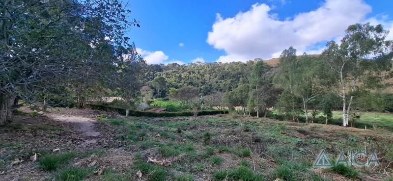 Terreno Residencial à venda em Vale das Videiras, Petrópolis - RJ - Foto 7