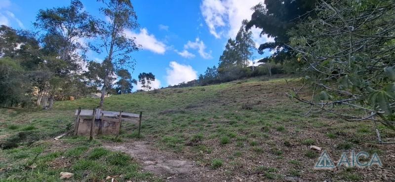 Terreno Residencial à venda em Vale das Videiras, Petrópolis - RJ - Foto 8