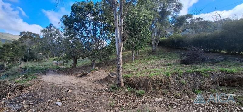 Terreno Residencial à venda em Vale das Videiras, Petrópolis - RJ - Foto 10